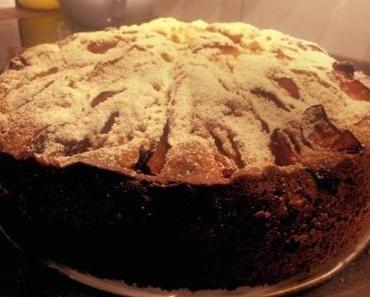 Omas einfacher Pflaumen Apfel Kuchen