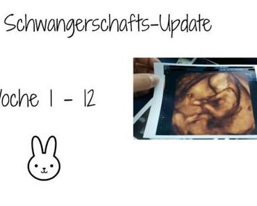 Schwangerschaft – Update SSW 1-12
