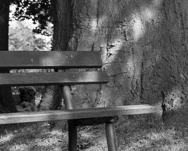 Fotografie | SchwarzWeissBlick No 33