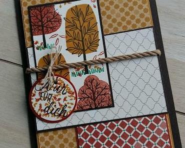 MtS #146: Herbstbäume treffen auf DP Marokko