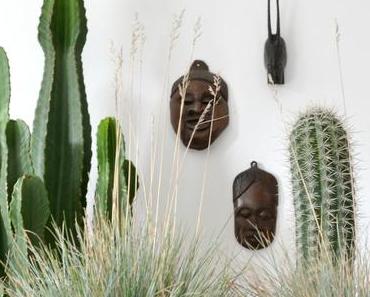 Urban Jungle Bloggers: Desert Still Life