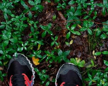 Goldener Oktober – ü30Blogger & Friends