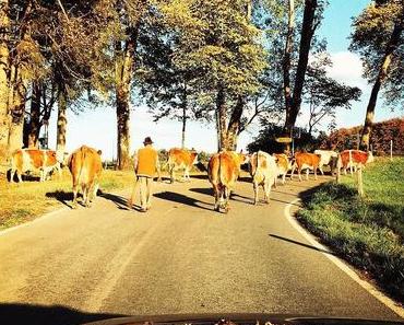 DJ im bayerischen Land