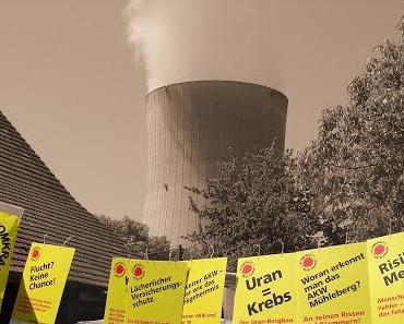 Die Schweiz hat die Wahl: Raus aus der Atomenergie