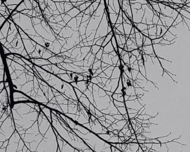 November-lange Wege