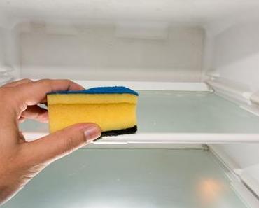 Putz-Deinen-Kühlschrank-Tag – der amerikanische Clean Out Your Refrigerator Day