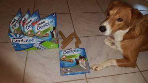Dentasticks für Hunde von Purina Dentalife im Test