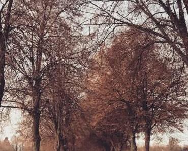 wallpaper-1689754