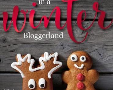 Walking in a Winter Bloggerland:  der Adventskalender!