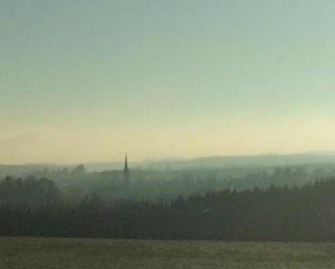 Sonntagsfreude: Raureif