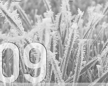 Adventskalender 2016 – Tag 09: Saetchmo – Searching for your nine