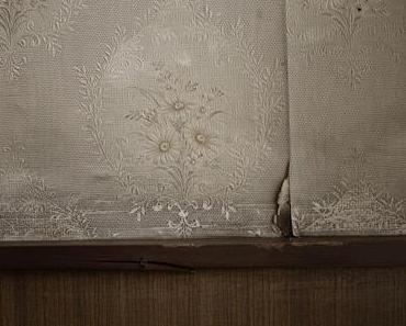 Superfood-Bullshit - wir brauchen Bitterstoffe