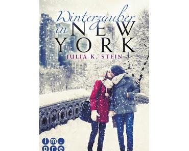 Winterzauber in New York von Julia K. Stein