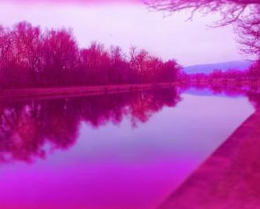 Fast schon Etikettenschwindel