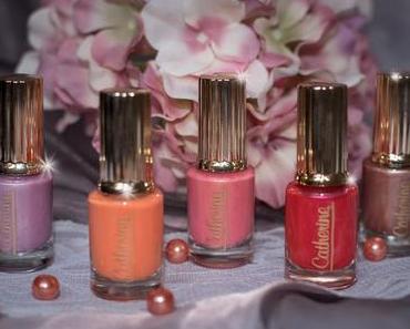 Die fünf Neuen am Catherine-Himmel