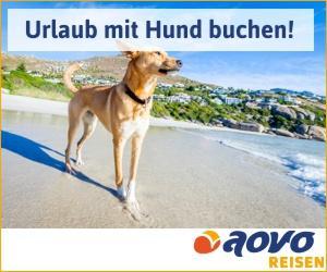 Immer mehr Reiseveranstalter kommen auf den Hund - Reisen mit Hund heute mit dem Anbieter aovo Reisen