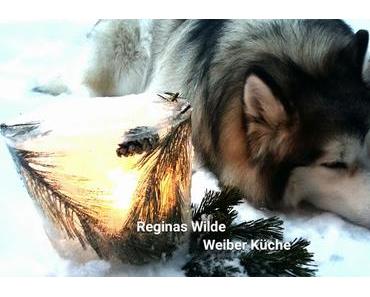 Seelennahrung - Das Rad dreht sich wieder...