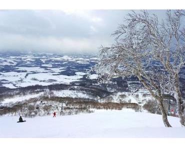 Shabu Shabu im Schneesturm: Diese magische Nacht in Niseko