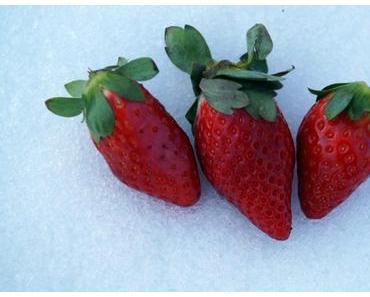 Erdbeeren im Schnee