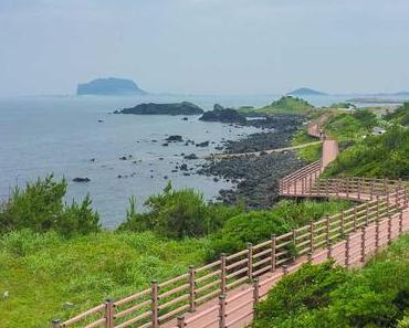 Roadtrip Jeju Island Tag 2: Wir besteigen einen Vulkan