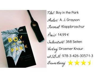 Boy in the Park | A. J. Grayson