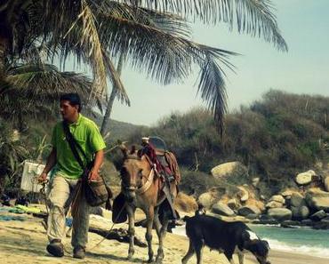 Tayrona – Die Spektakuläre Mischung aus Urwald und Strand