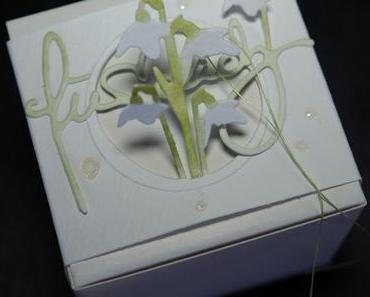 Schneeglöckchen # 2