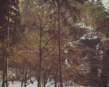 Schnee im Polenztal – Winterwandern im Elbsandsteingebirge