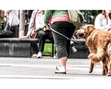 Gassi-Gehen-Tag – der amerikanische Walking the Dog Day