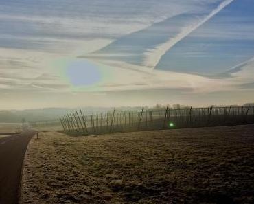wallpaper-1689754