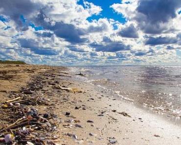 Plastikabfall im Meer – wie schlimm ist es wirklich?