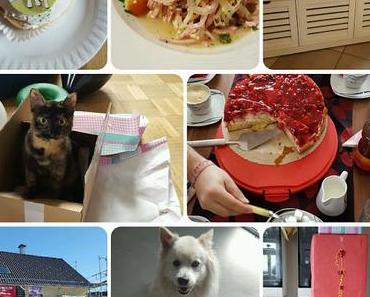 Wochenrückblick KW 10