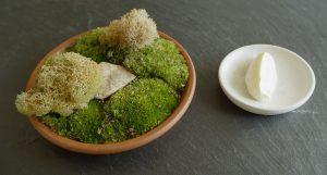 Noma – My Perfect Storm