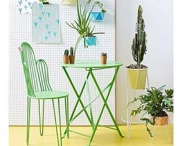 Mein kleiner, grüner Kaktus..