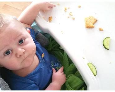 BLW Start // Unsere Erfahrungen