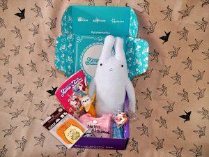 Unboxing: YumeTwins Kawaii Monthly Box