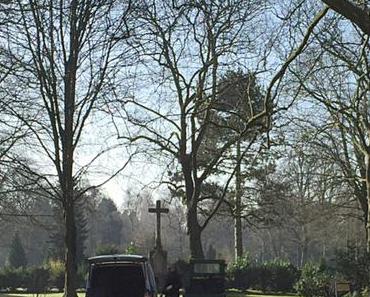 12tel-Blick im März 2017 – oder – Im Märzen der Gärtner