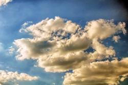 Wochenbeginn und eine Taube