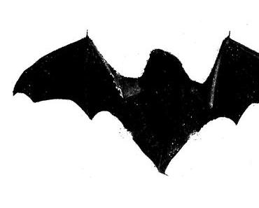 Ehrentag der Fledermaus – der National Bat Appreciation Day in den USA