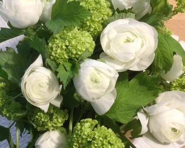 Friday-Flowerday – oder – Ranunkelwunder