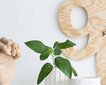 [Nachmachtipp] Struktur Vase aus Modelliermasse