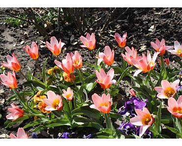 Deine zwölf persönlichen Rechte