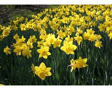 Fünfzehn todsichere Schritte, sich den Tag zu verderben - ein Rezept, das wir nicht befolgen sollten