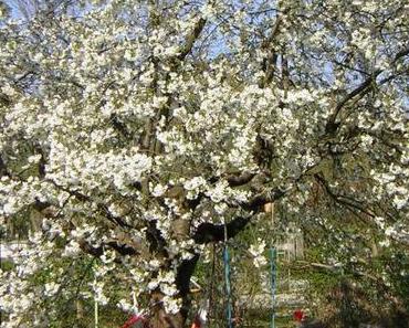 Endlich Frühling!