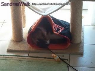 Mirrortears-Invention #2 - So schläft Gina !