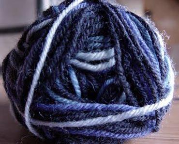 Das Rätsel des König Akbars- Wie man Meinungen richtig austauscht!