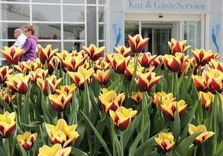 wallpaper-1689754