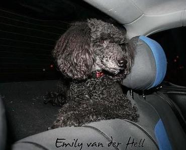 Immer wieder sonntags ...