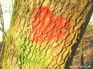 Wie Du Dein Herzklopfen für Dein Business nutzt