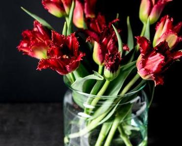 Völlig verfranst und Sattrot - die letzten Tulpen für dieses Jahr